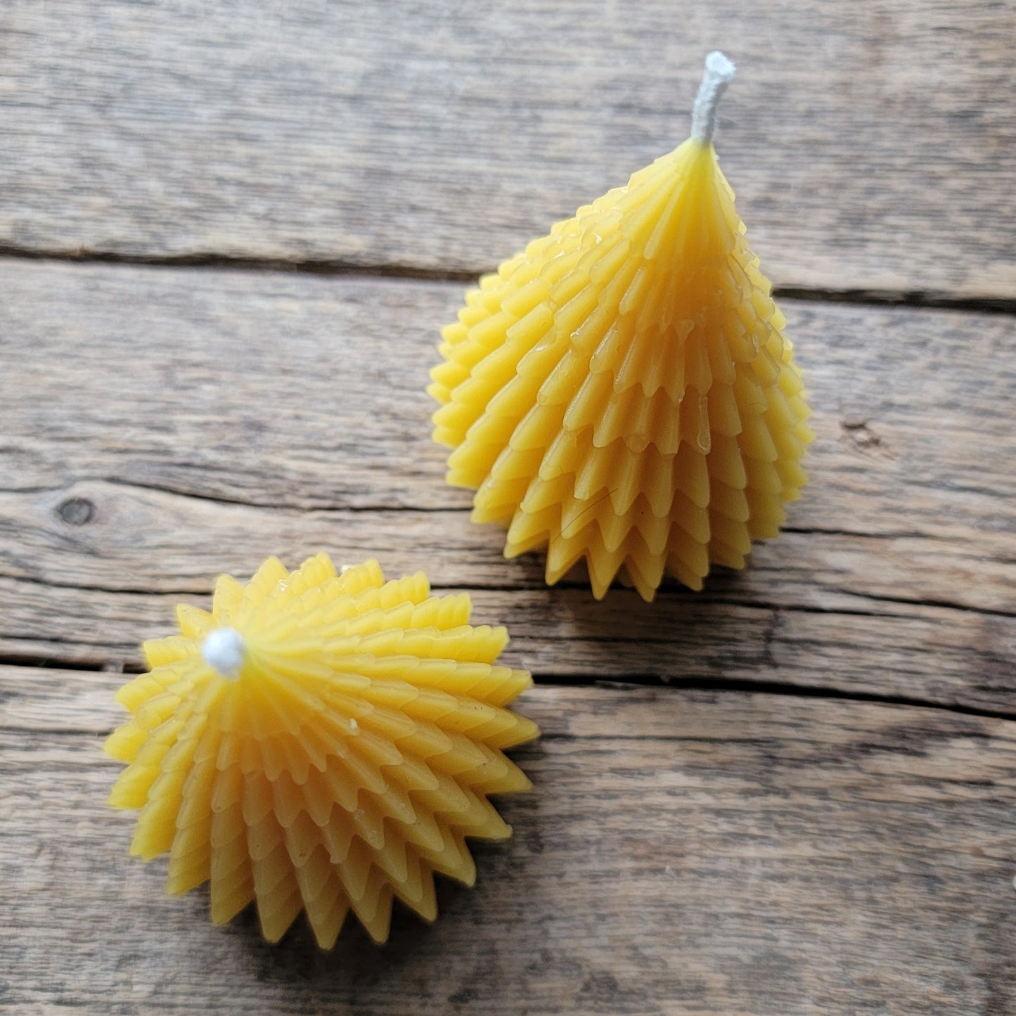 Happy Little Tree | Beeswax Candle