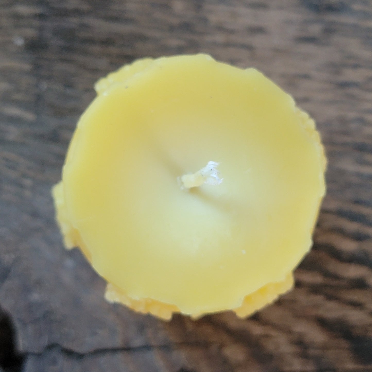 All The Buzz Pillars - Set of 2 | Floral Beeswax Candles