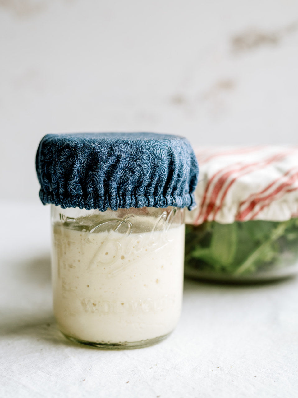 Blue Chickens Jar Covers | Reversible 100% Cotton