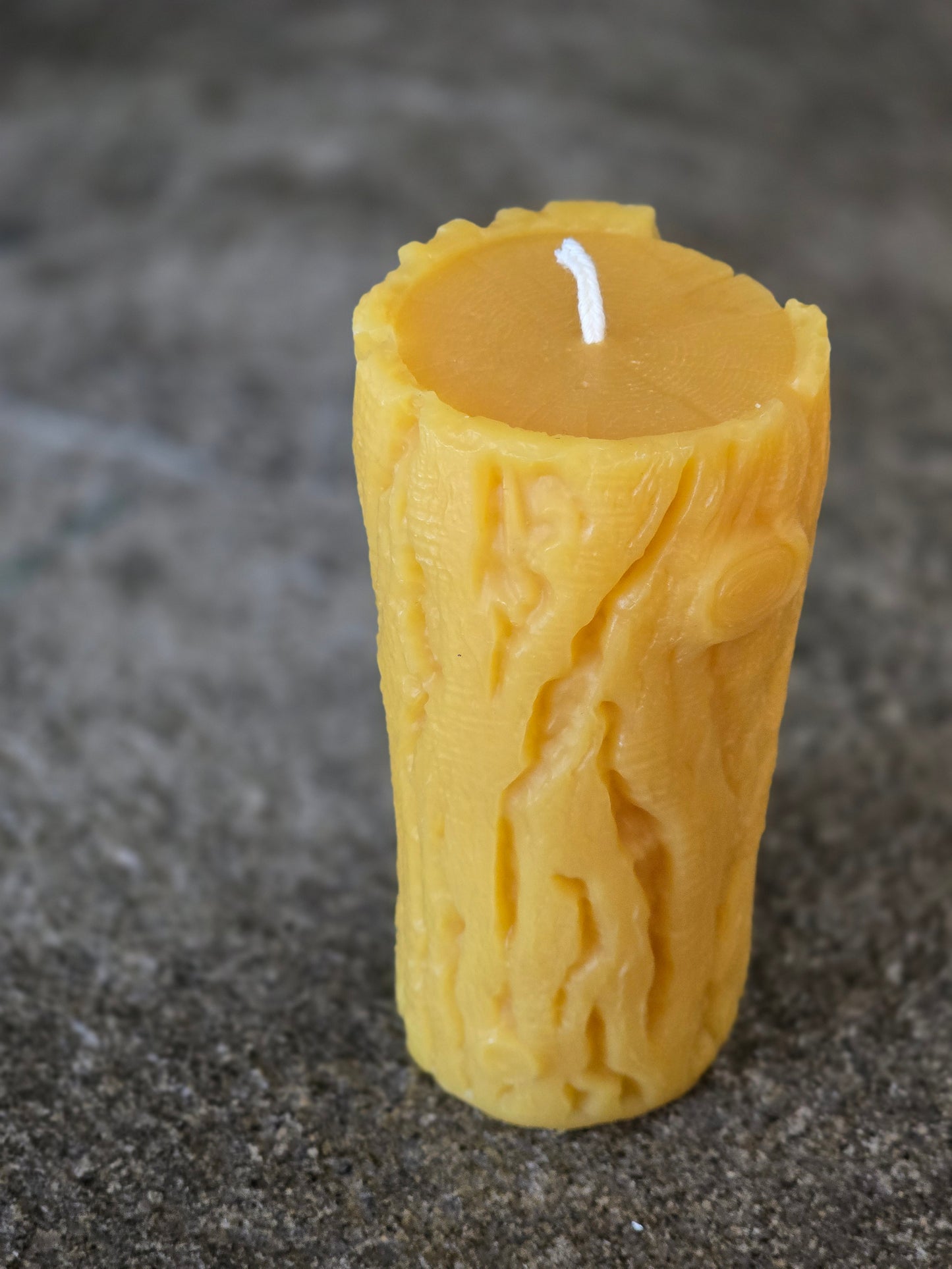 Campfire Log Pillar | Beeswax Candle