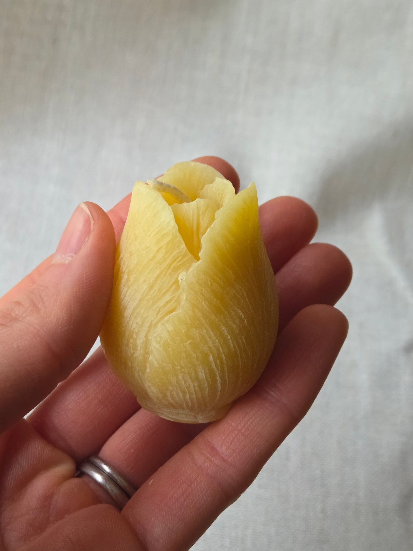 Tulip Votive, Set of 3 | Floral Beeswax Candle