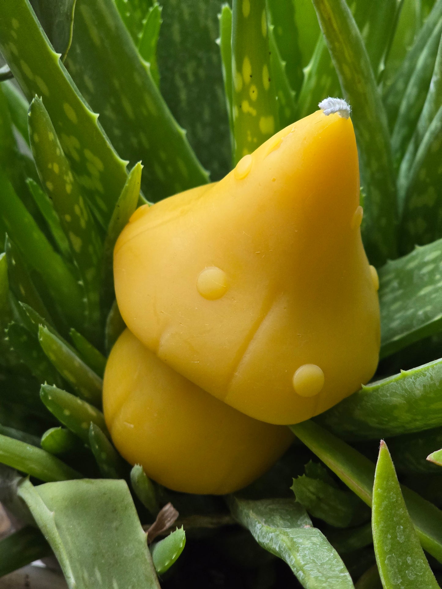 Forest Mushroom | Beeswax Candle