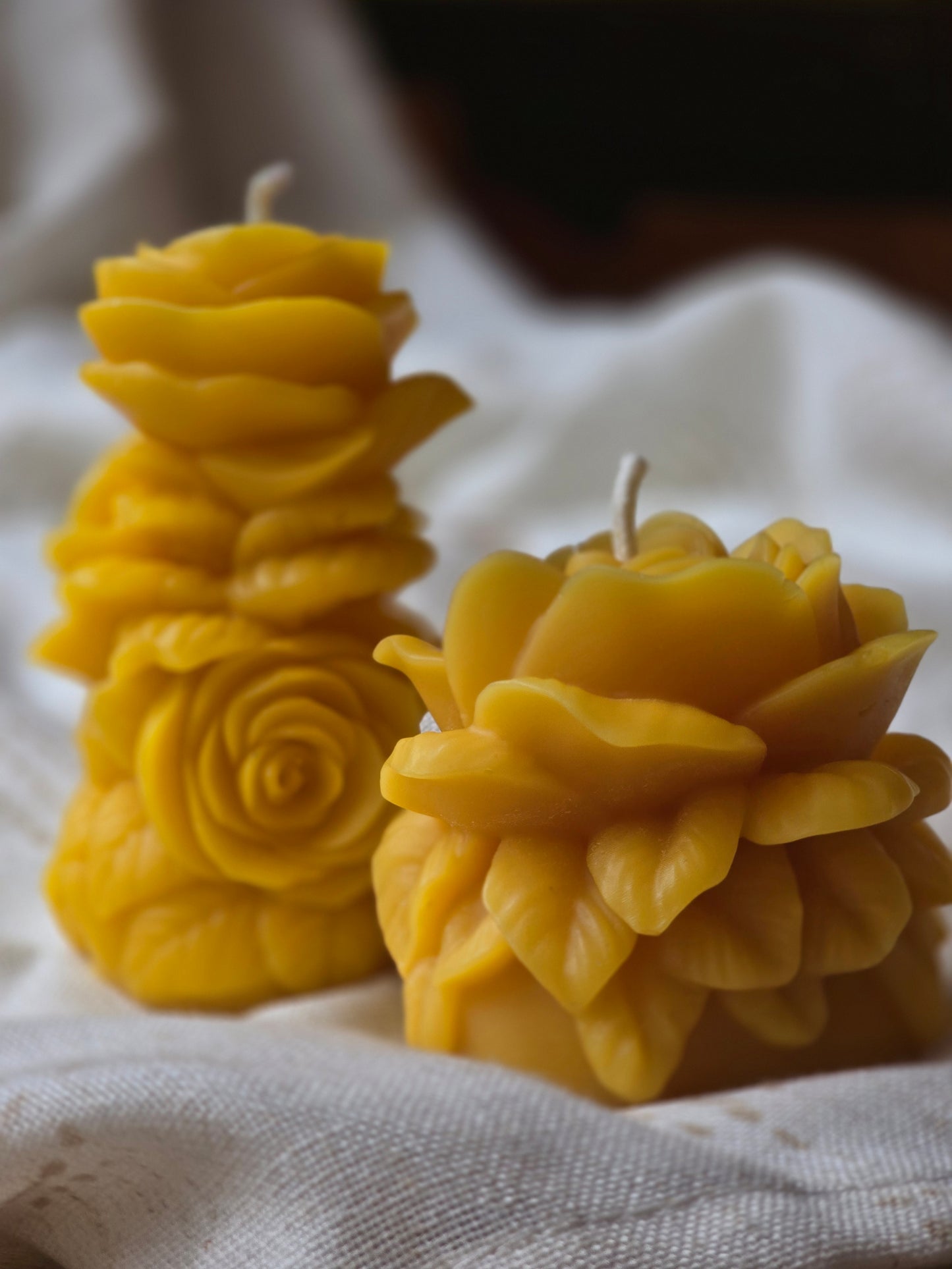 Blooming Roses Set | Beeswax Candles