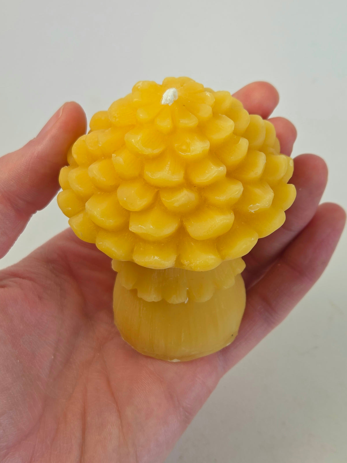 Pinecone Mushroom | Beeswax Candle