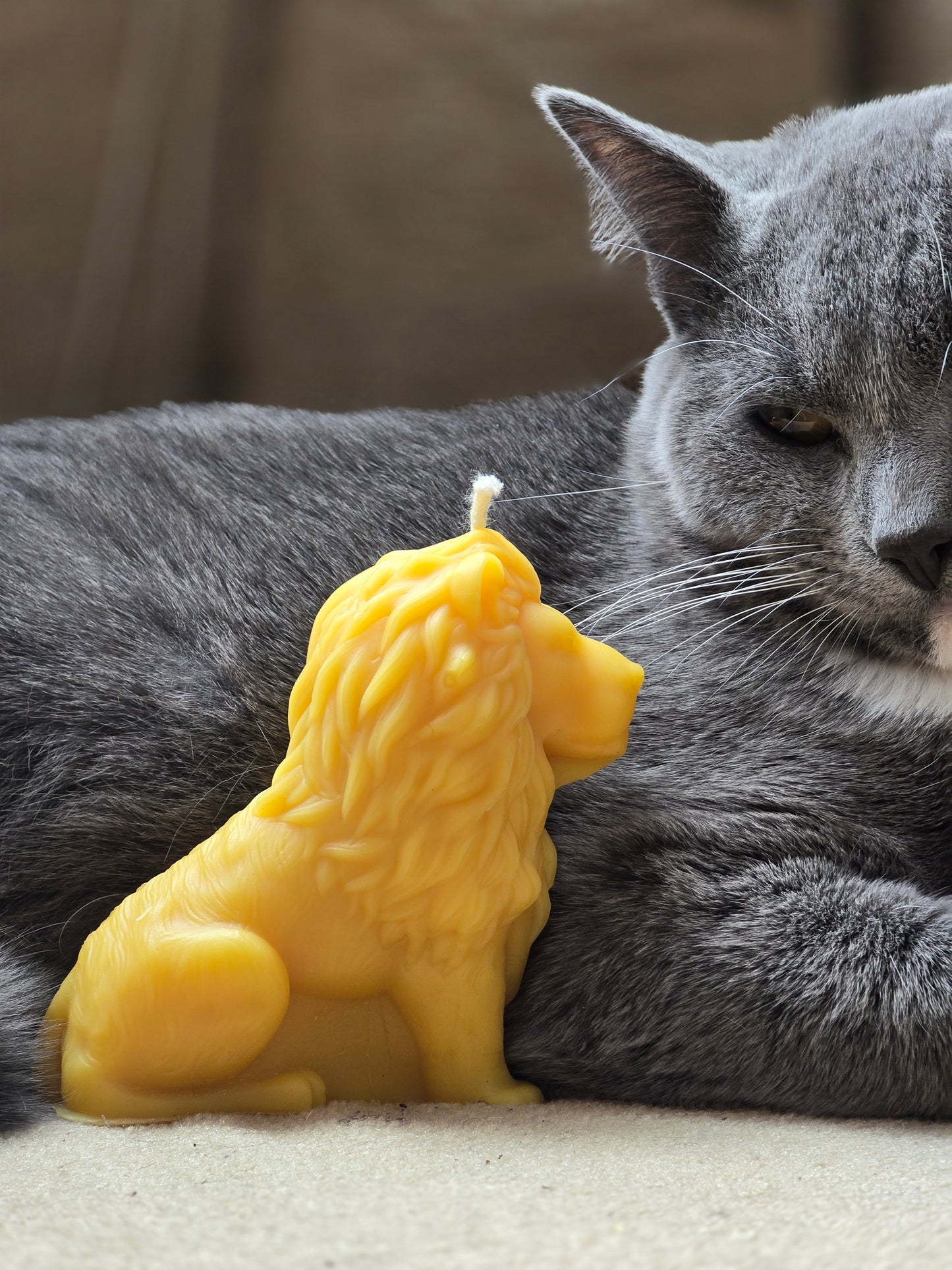 African Lion | Beeswax Candle