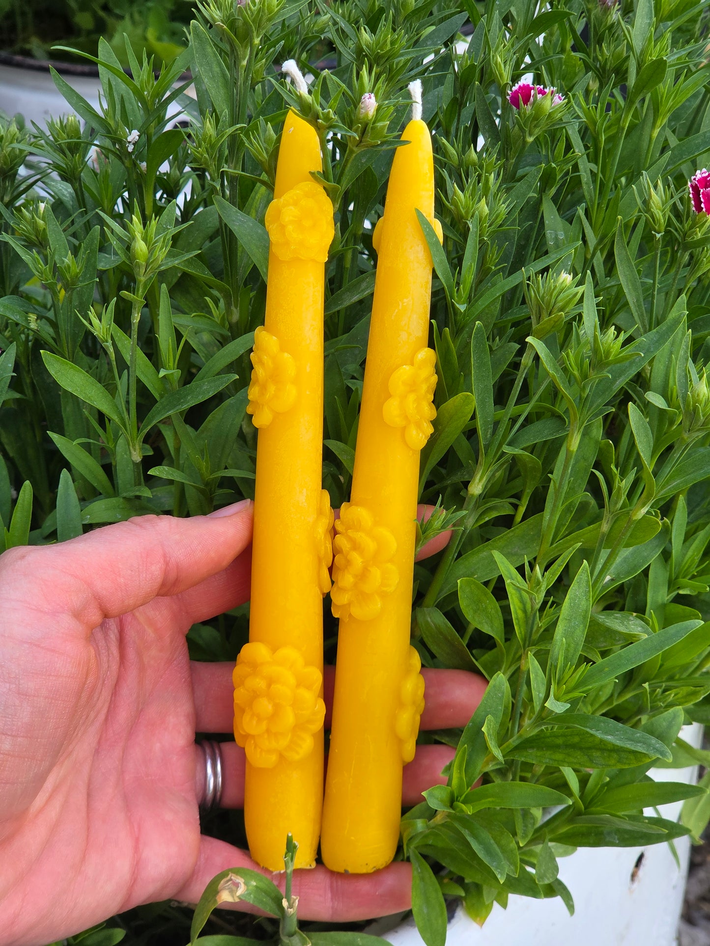 Carnation Taper - Set of 2 | Beeswax Candles