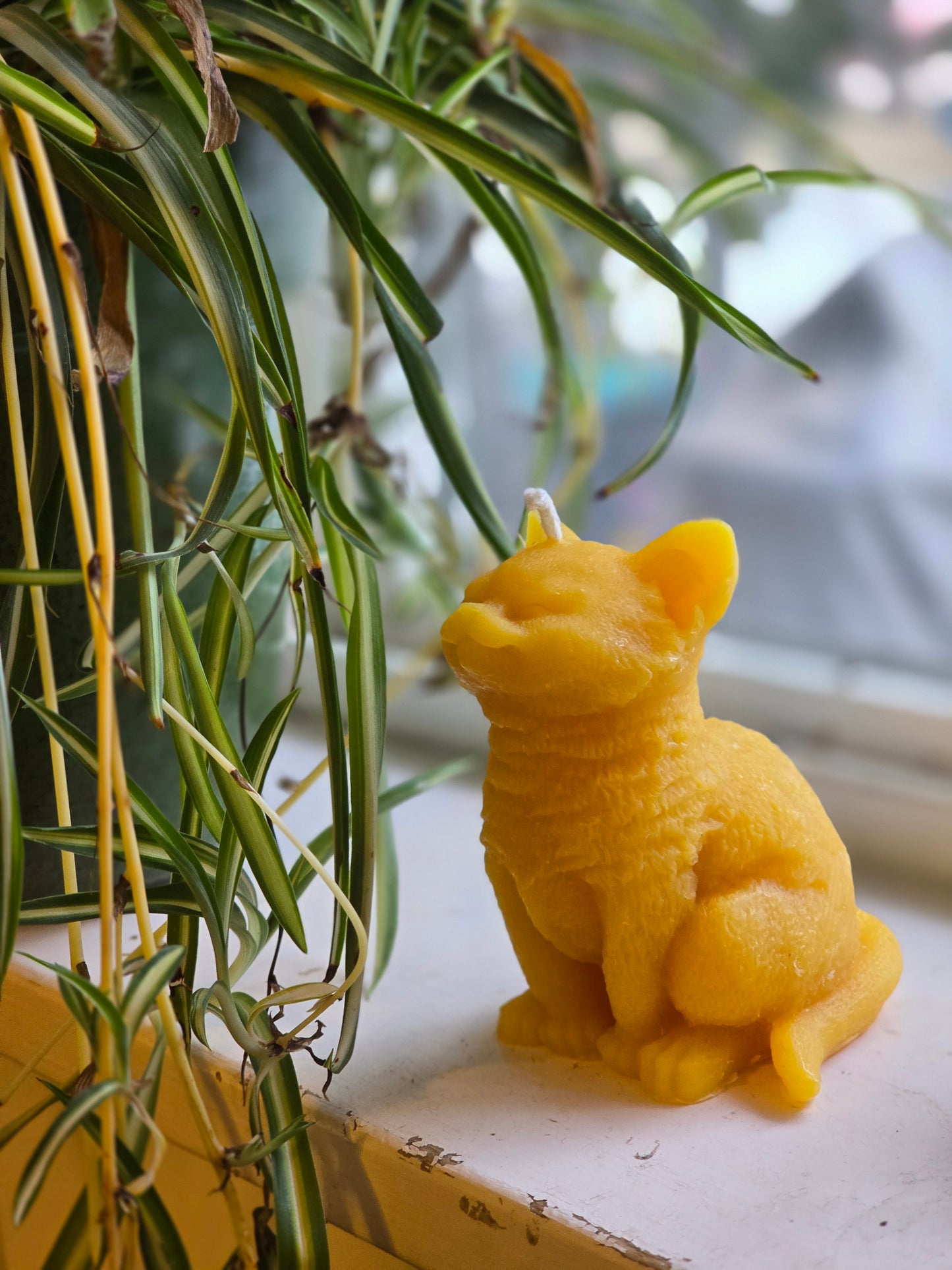 Happy Cat | Beeswax Candle