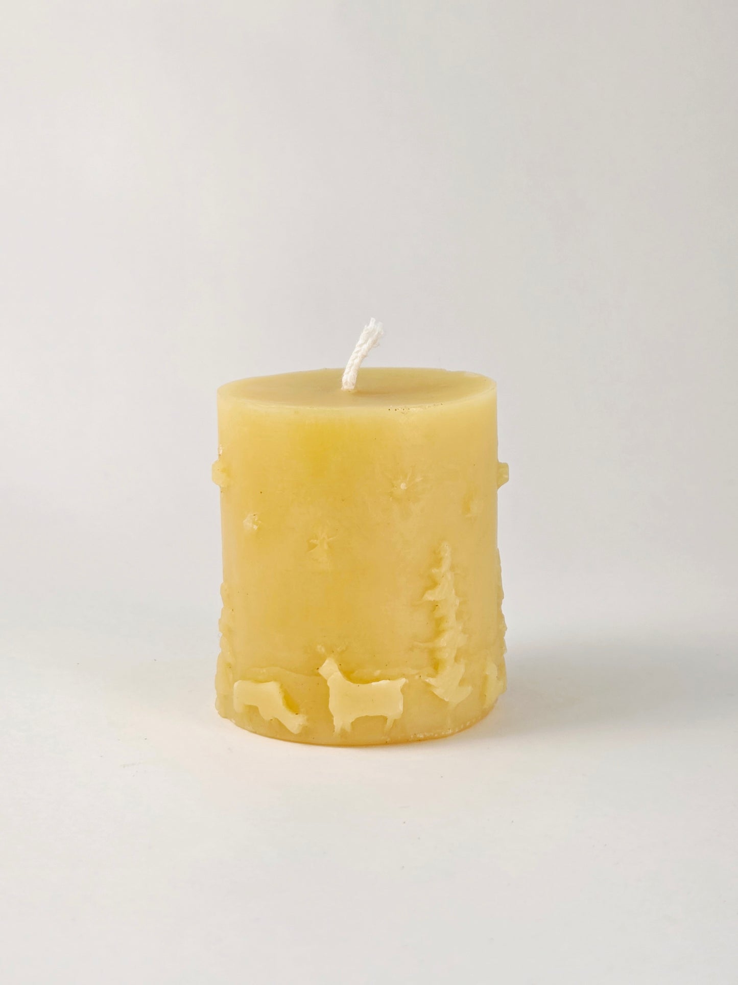 Winter Scene Set | Beeswax Candles