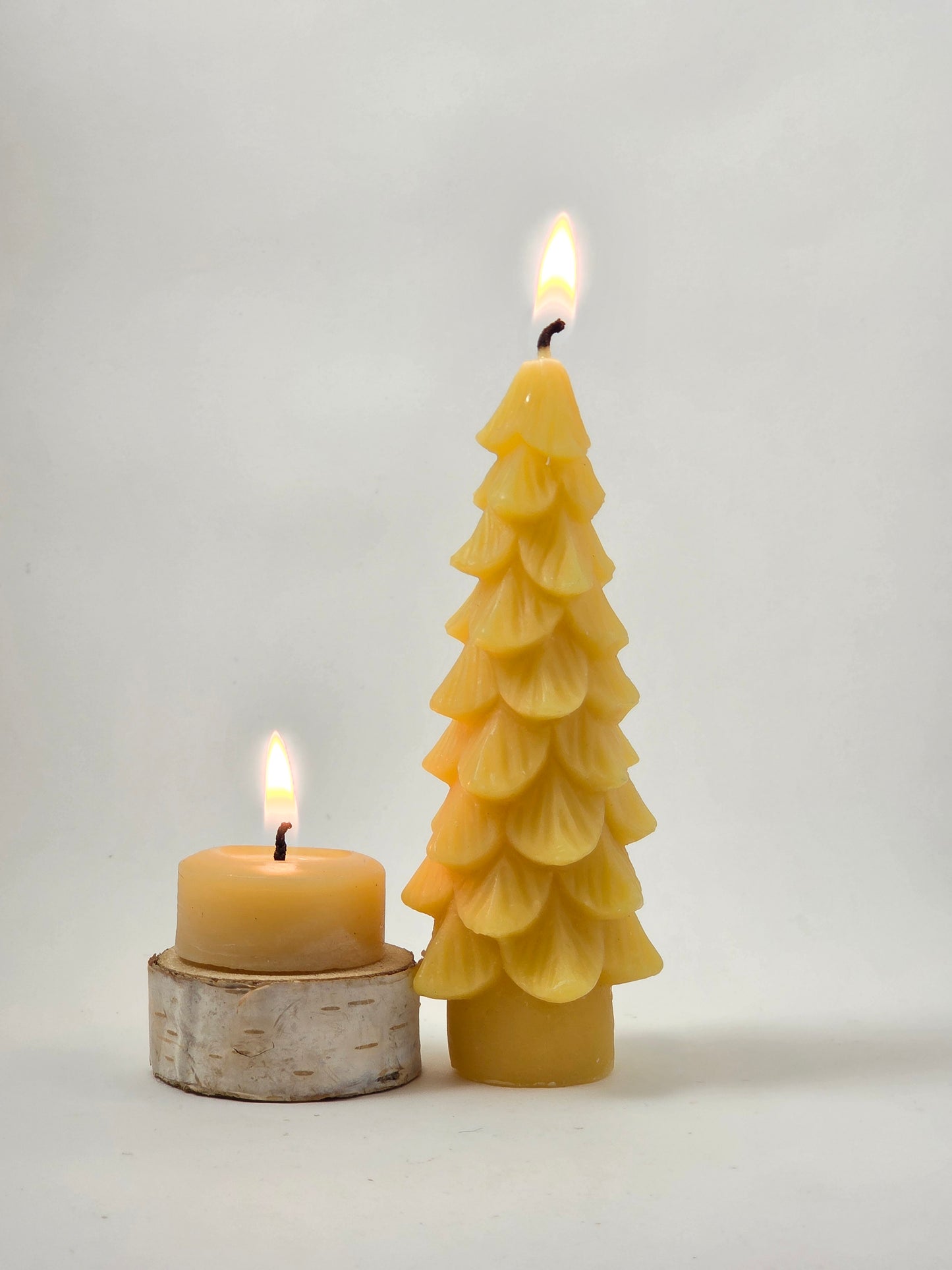 Stately Tree | Beeswax Candle