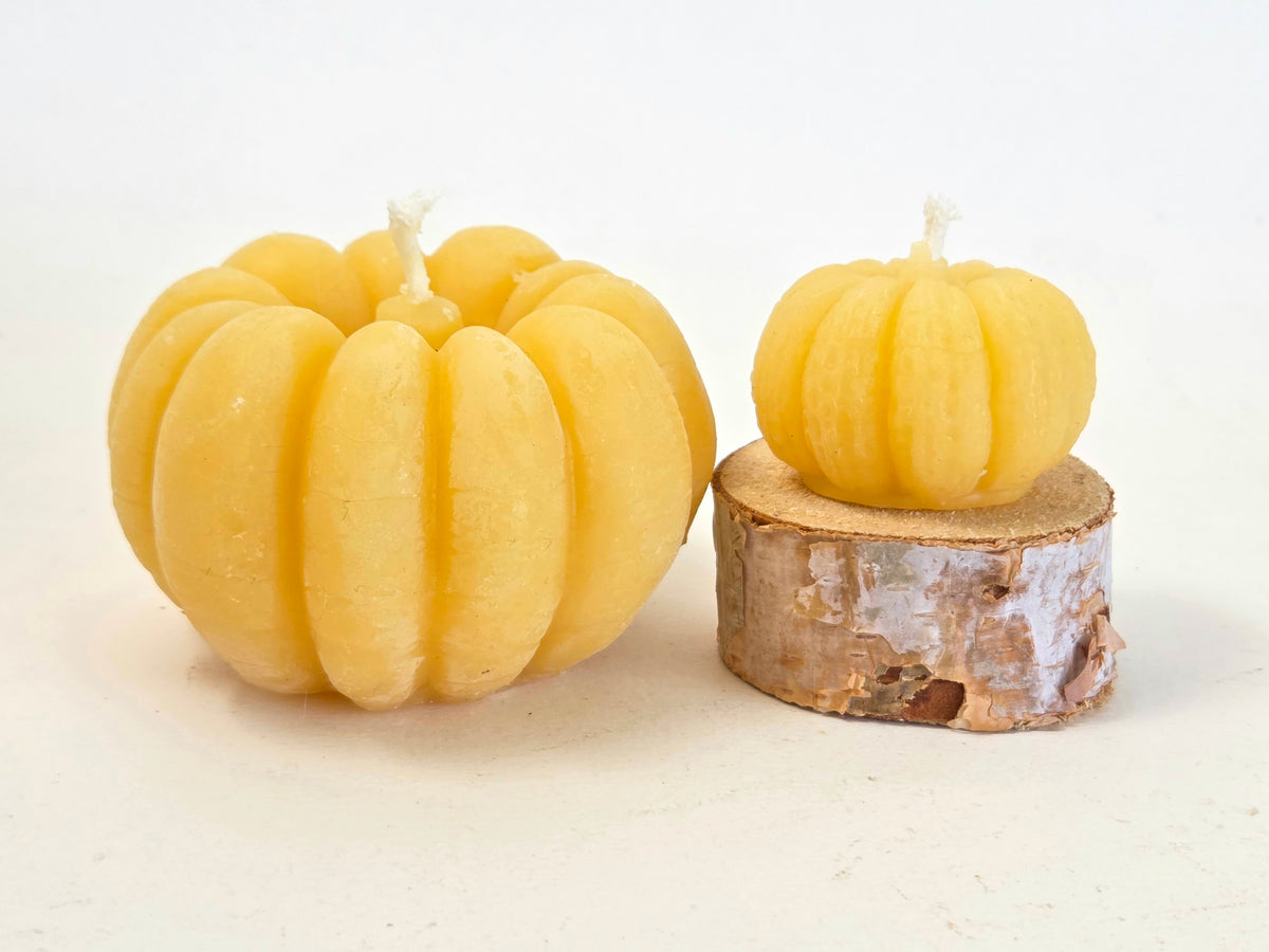 Mini Pumpkin | Beeswax Candles