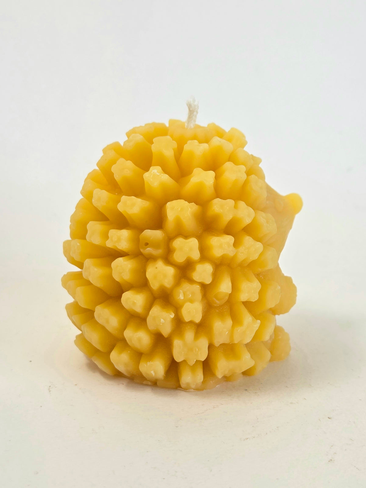 Prickles the Hedgehog | Beeswax Candle