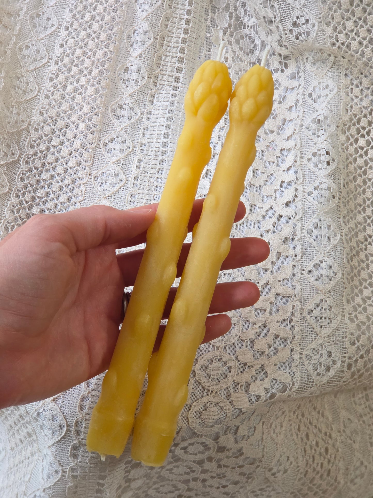 Asparagus Tapers - Set of 2 | Beeswax Candles