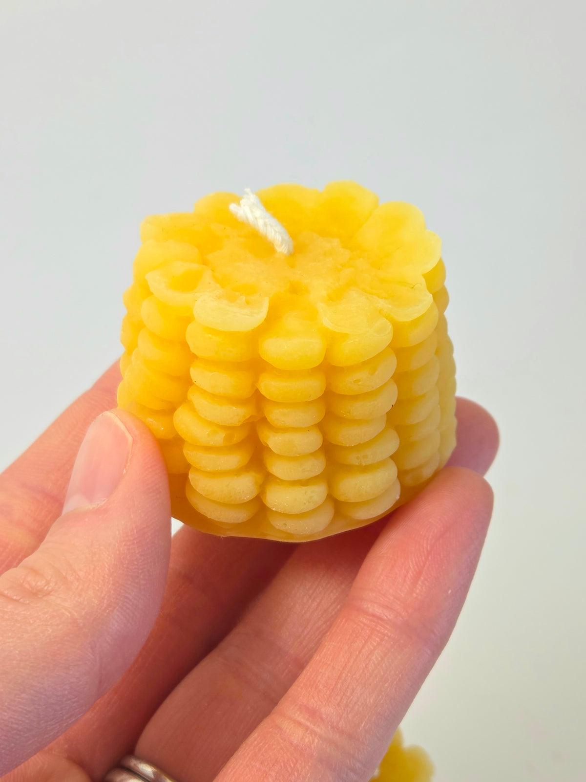 Corn Cob Slice | Beeswax Candle