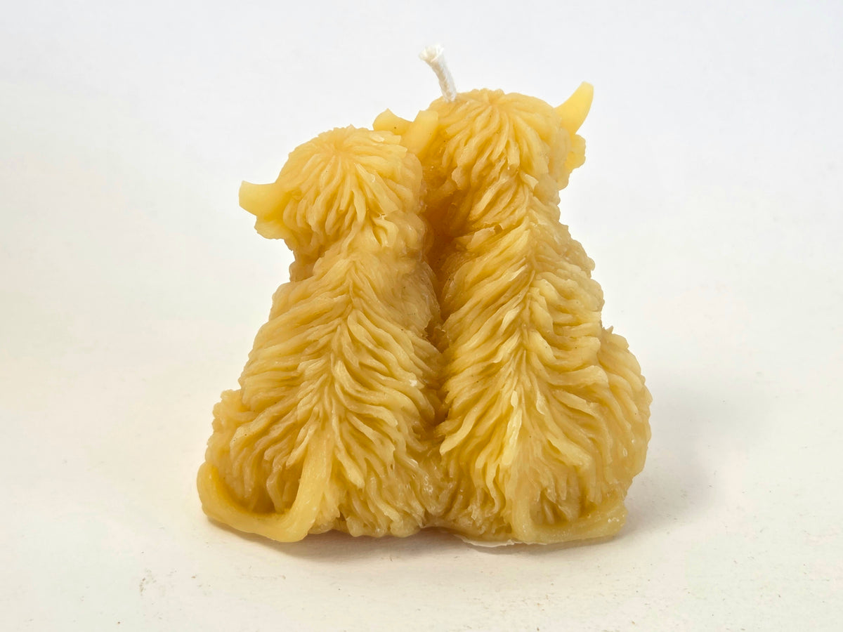 Bovine Besties | Beeswax Highland Cow Candle