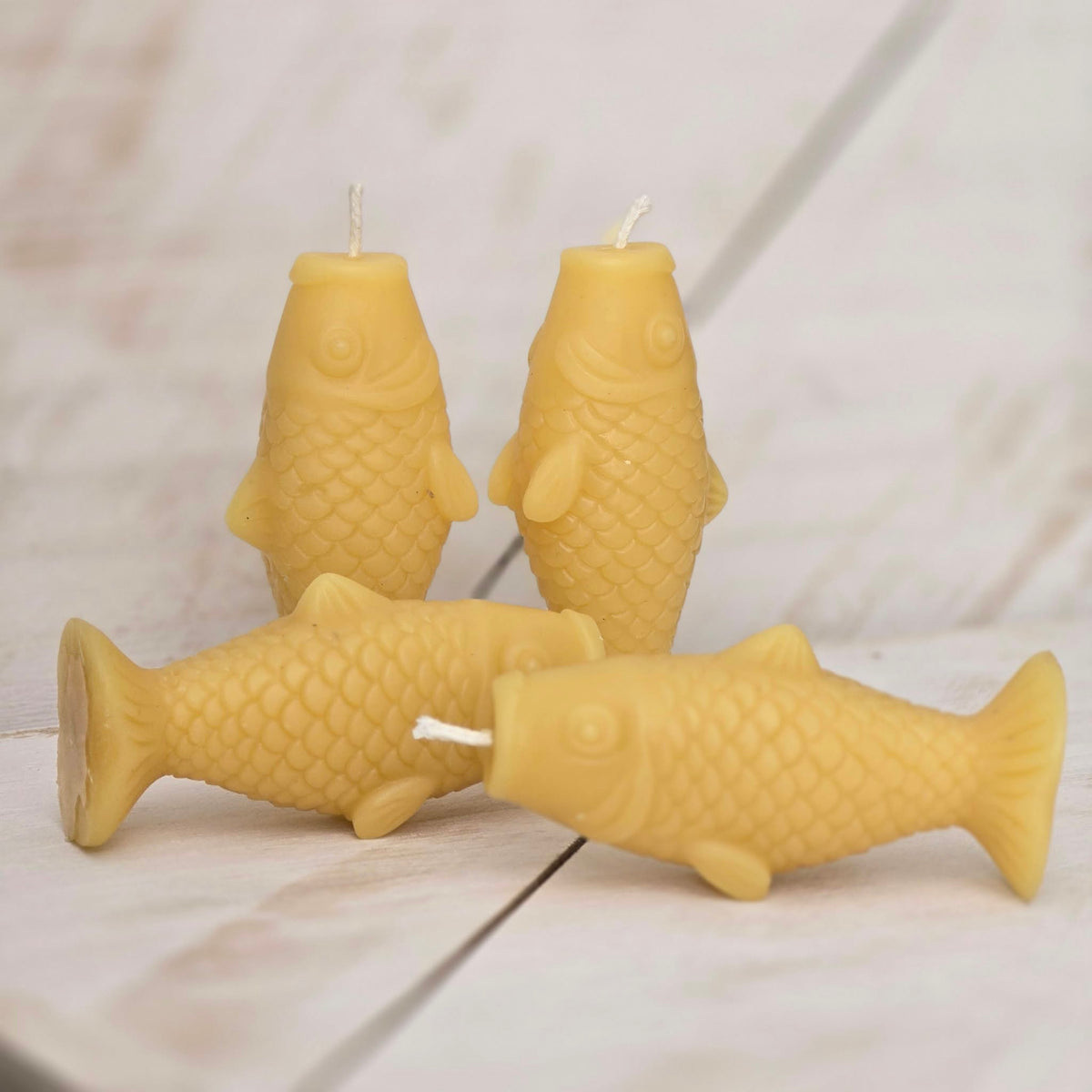 Lucky Fish | Beeswax Candle