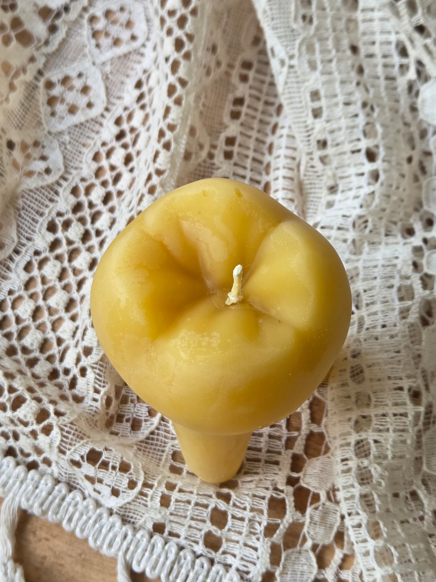 Wisdom Tooth | Beeswax Candle