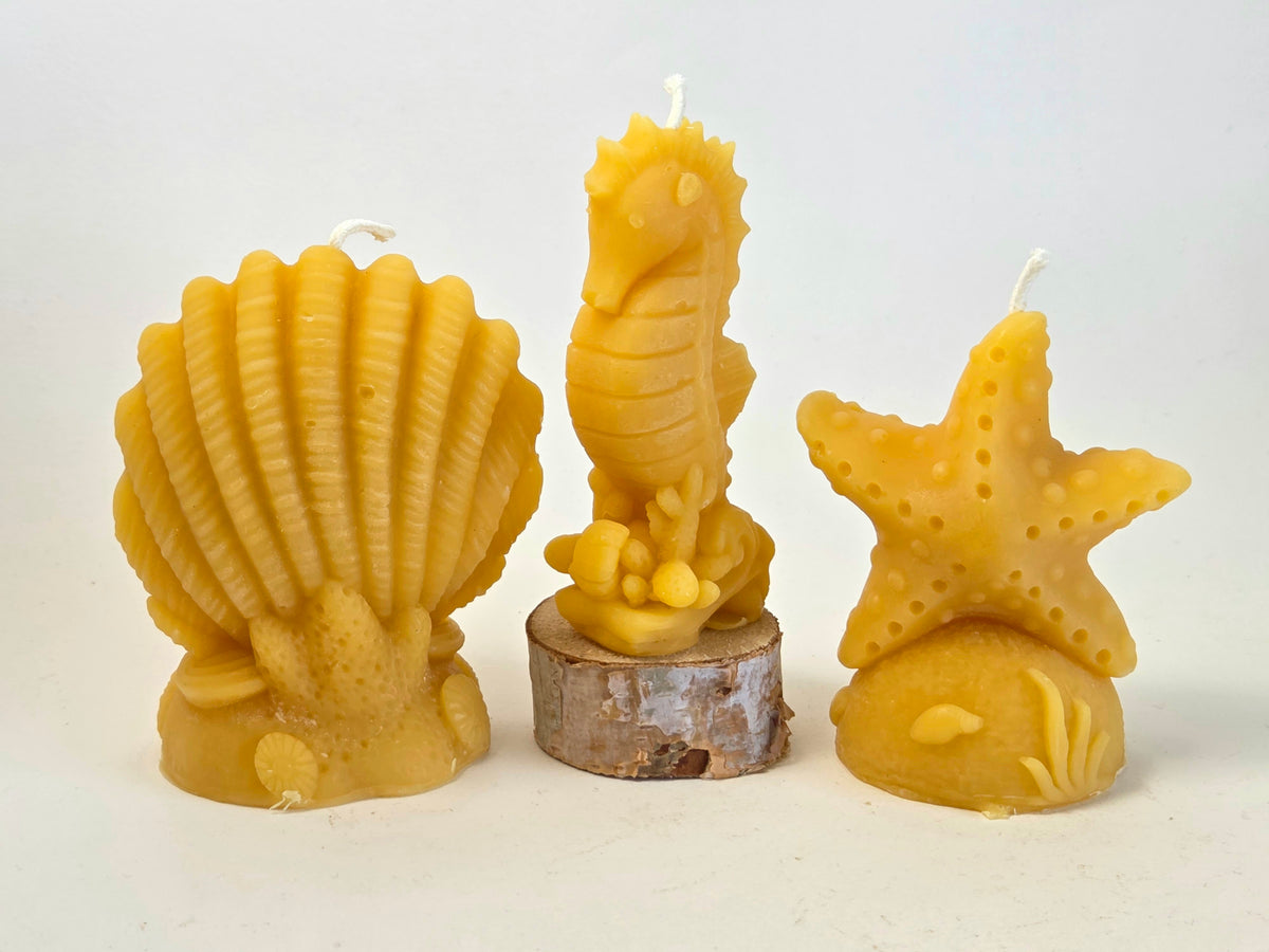 Seahorse | Ocean Beeswax Candle