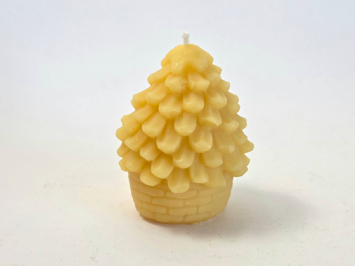 Pinecone House | Beeswax Candle