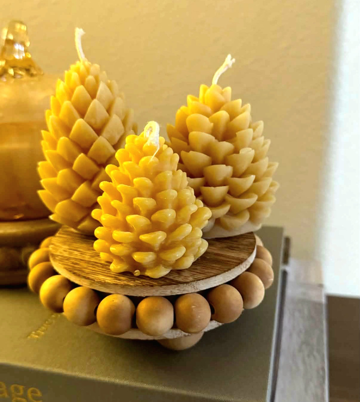Scots Pinecone | Beeswax Candle