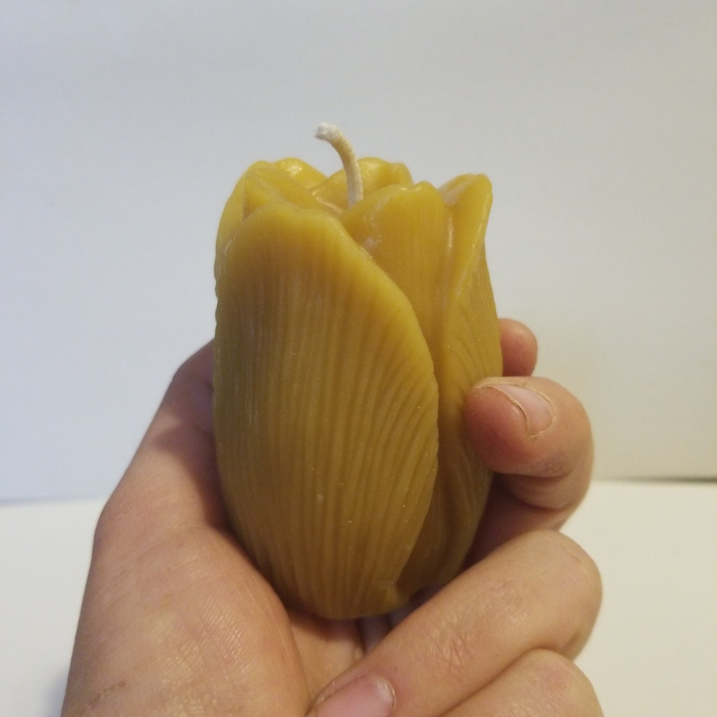 Garden Tulip | Floral Beeswax Candle