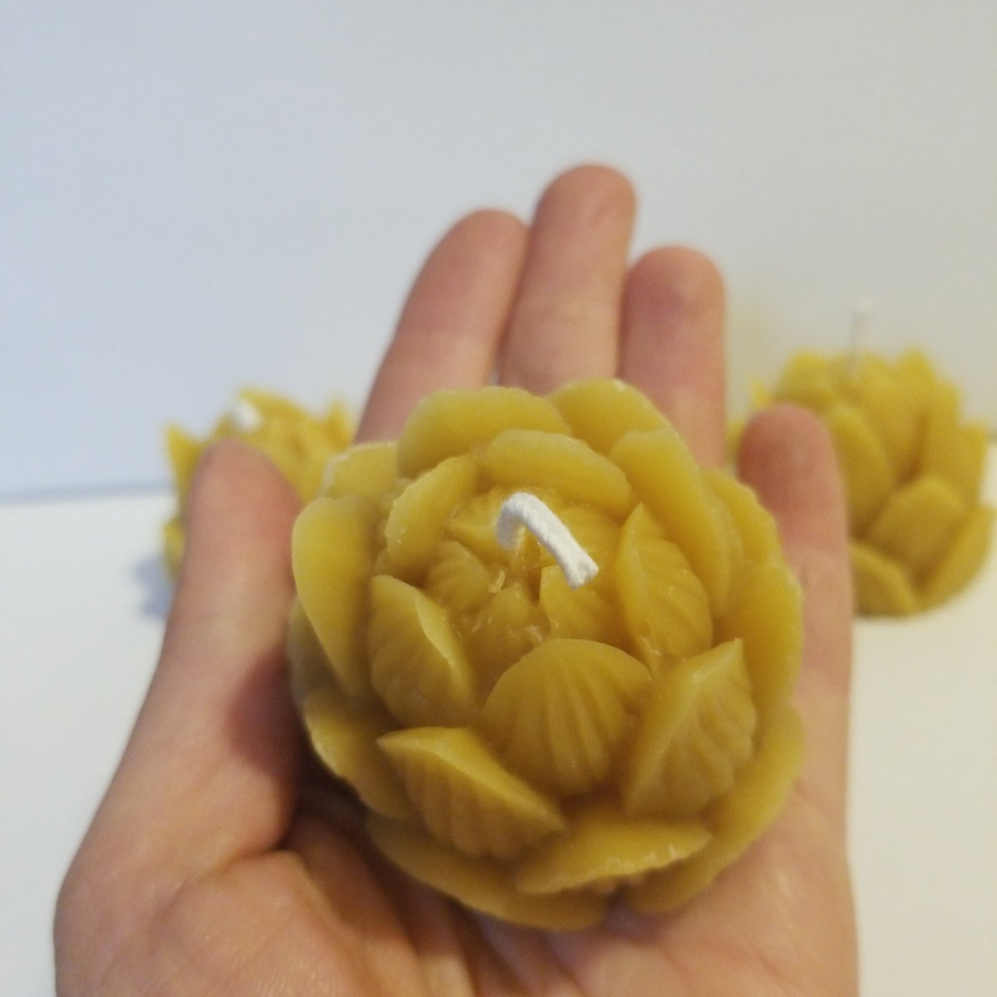 Lovely Lotus | Floral Beeswax Candle