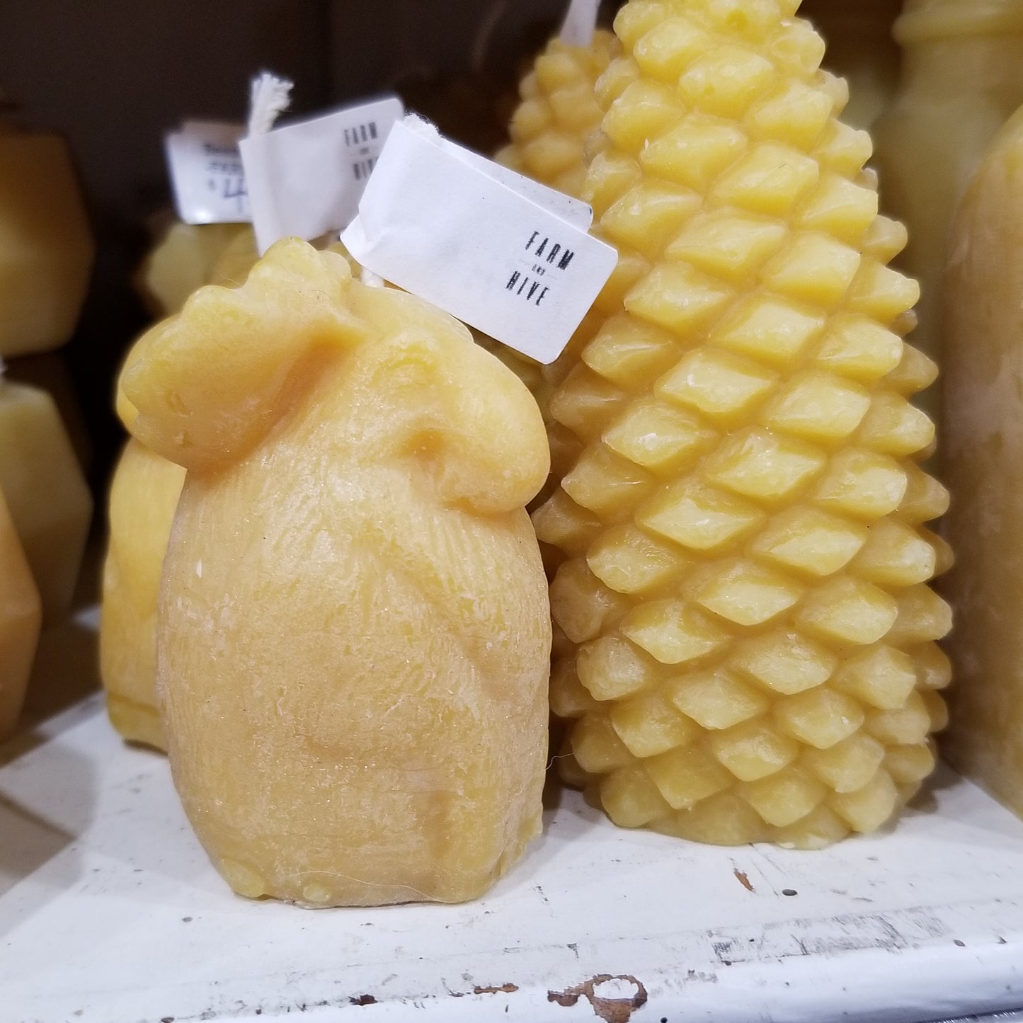 Lodgepole Pinecone | Beeswax Candle