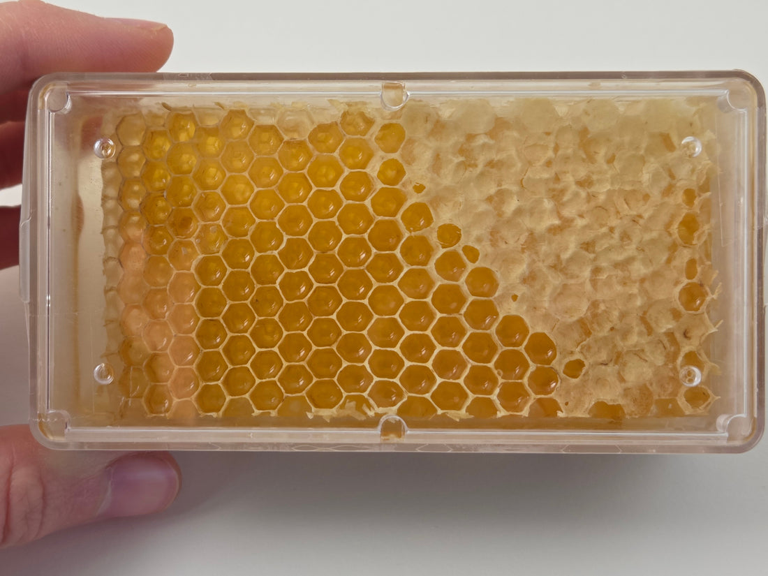 What Is Comb Honey and How Do You Eat It?