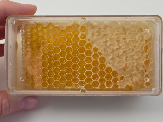 What Is Comb Honey and How Do You Eat It?