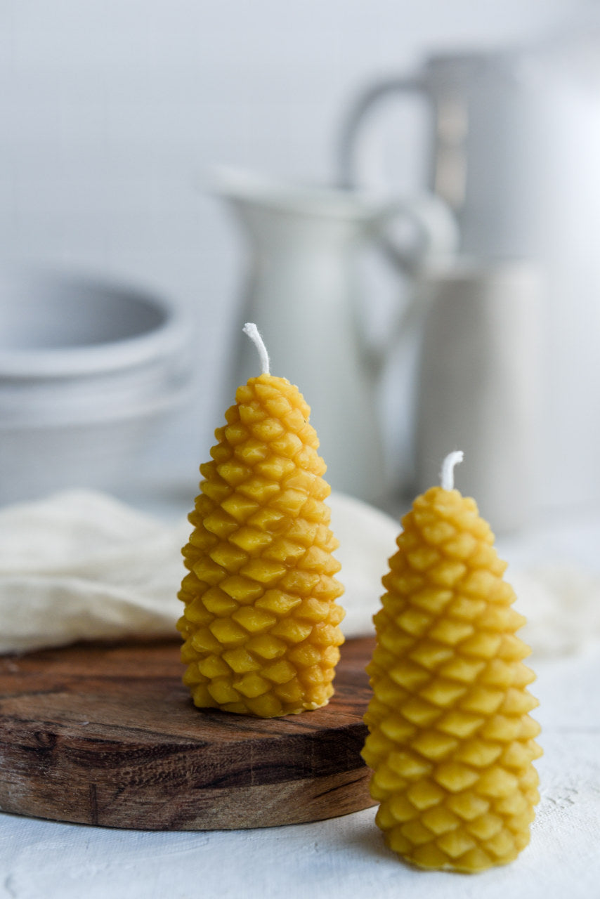 Tree, Leaf, & Pinecone Candles