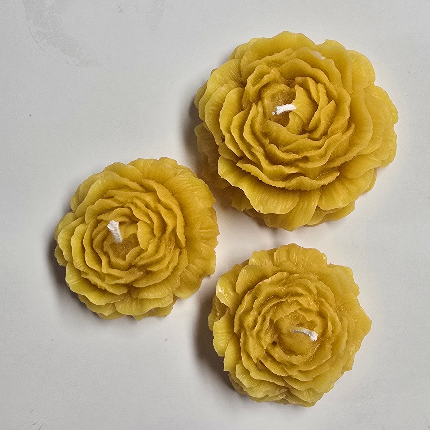Three Peonies - DIY Candle Mold Set