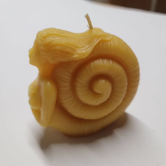 Sea Shell Siren - Beeswax Candle