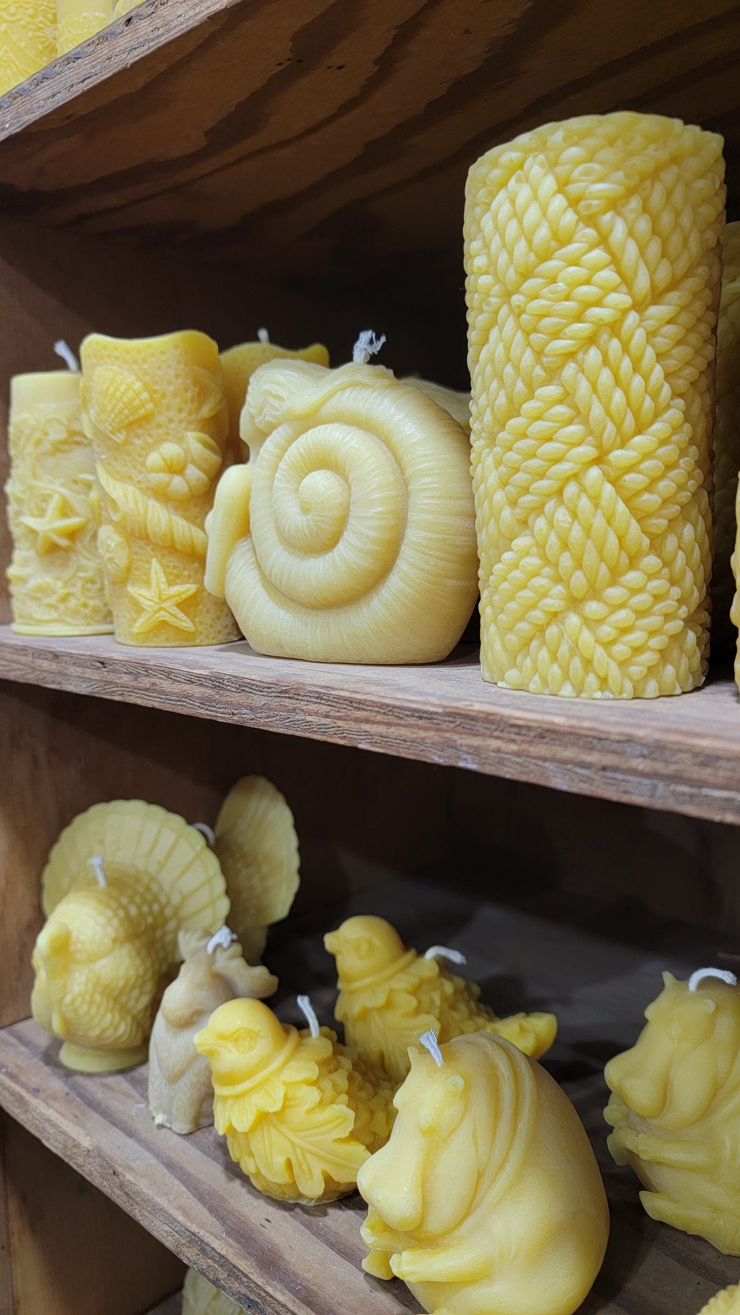 Sea Shell Siren - Beeswax Candle