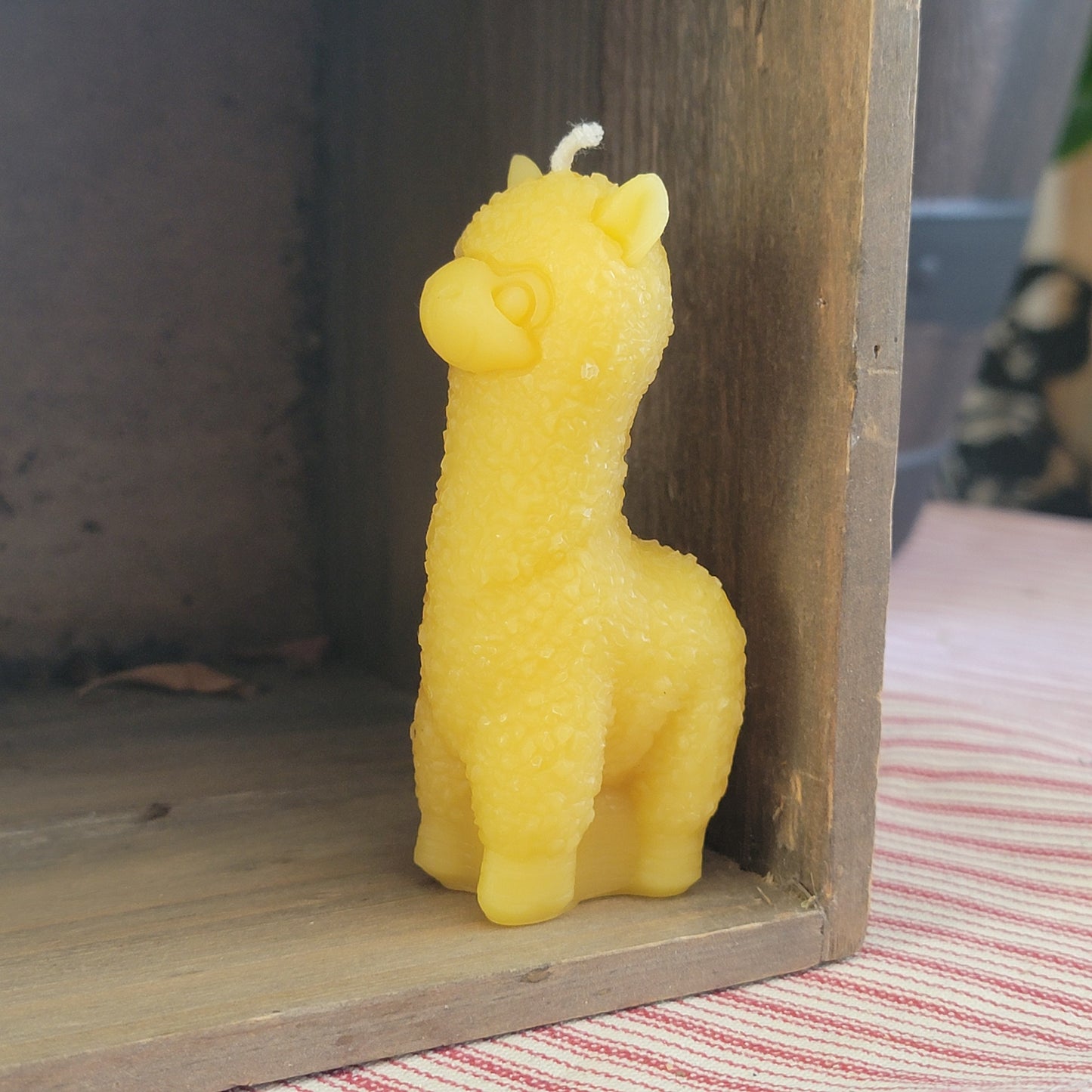 Lucy's Little Llama