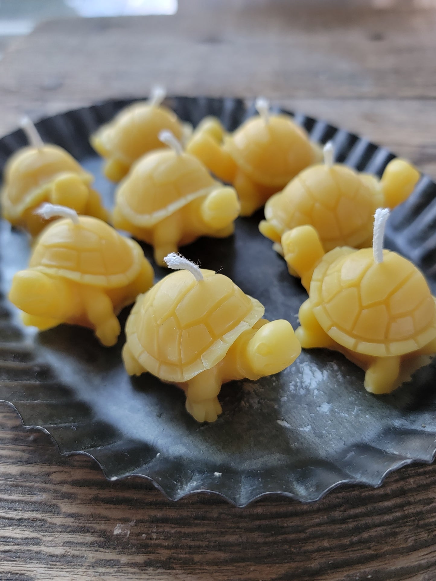 Tiny turtle beeswax candles