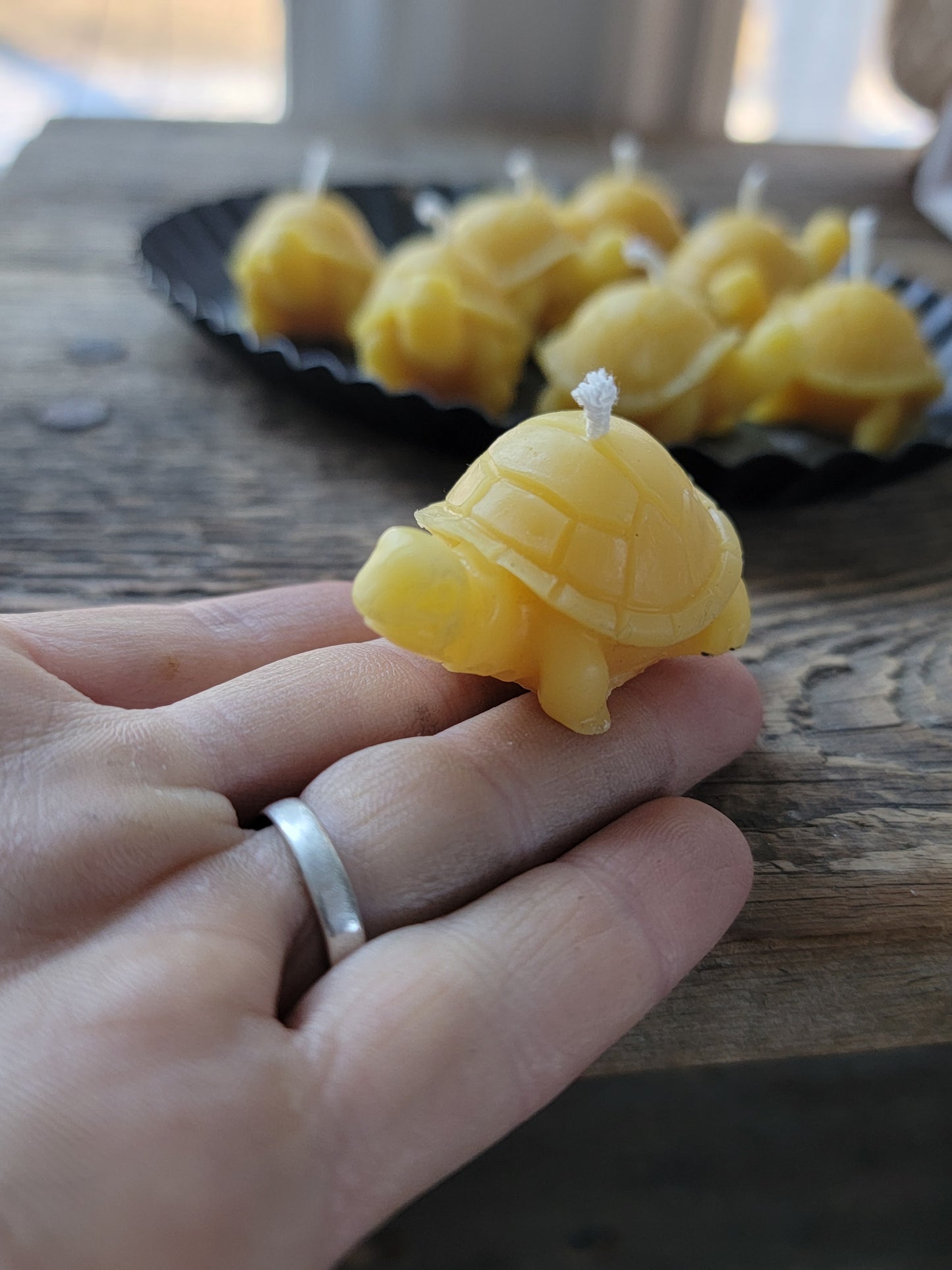 Tiny turtle beeswax candles