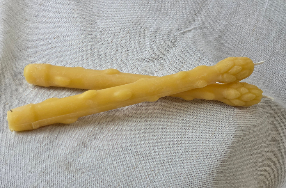 Asparagus Tapers - Set of 2 | Beeswax Candles