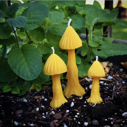 Fairy Garden Mushrooms - Set of 3 | Beeswax Candles