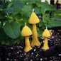 Fairy Garden Mushrooms - Set of 3 | Beeswax Candles