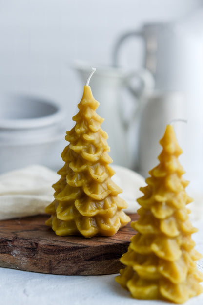 Fir Trees - 3 Sizes | Beeswax Candles