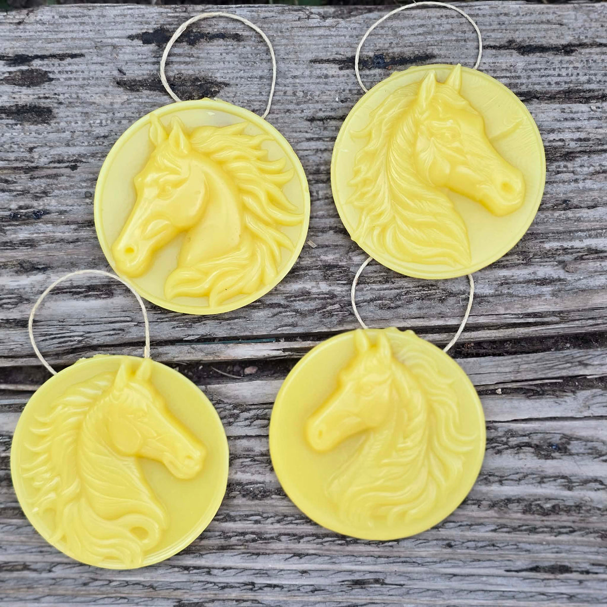 Wild and Free - Set of 4 | Beeswax Ornaments
