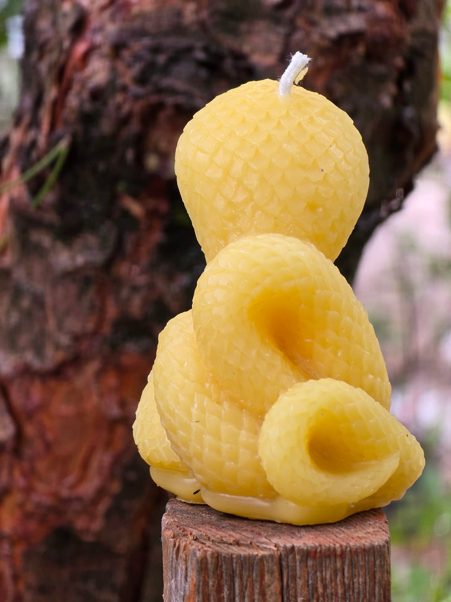 Desert Cobra | Beeswax Candle