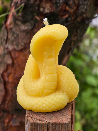 Desert Cobra | Beeswax Candle