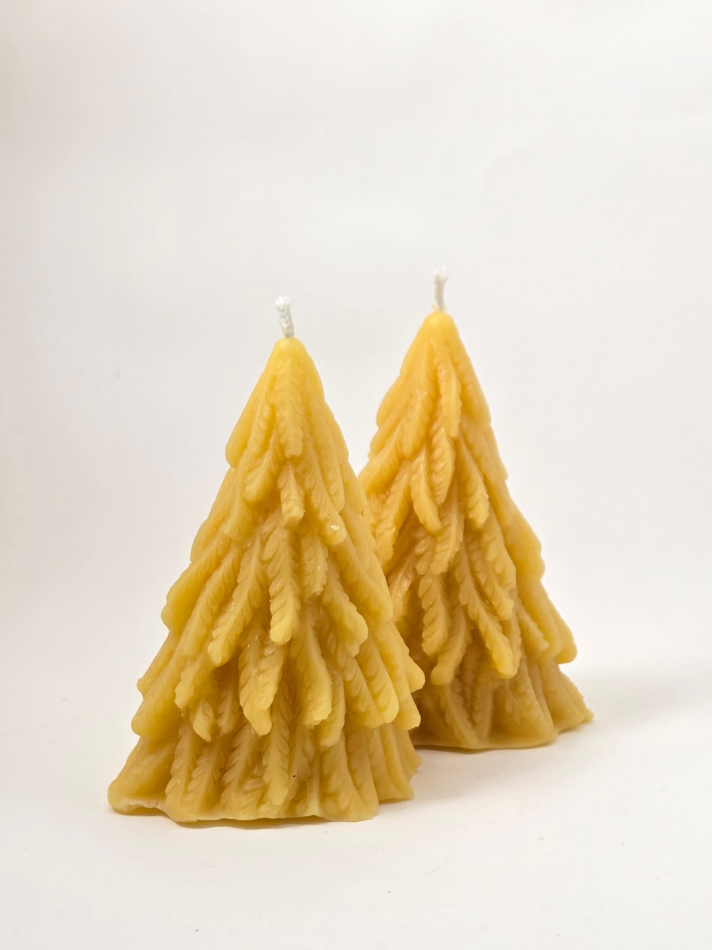 Ferny Tree | Beeswax Candle