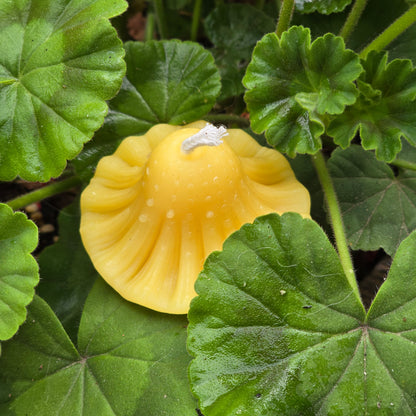 Geranium Mushroom | Beeswax Candle