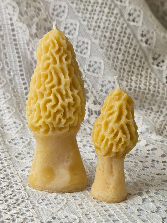 Morel Mushrooms - 2 Sizes | Beeswax Candles