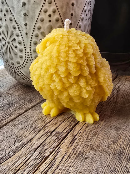 The Wise Owl | Beeswax Candle