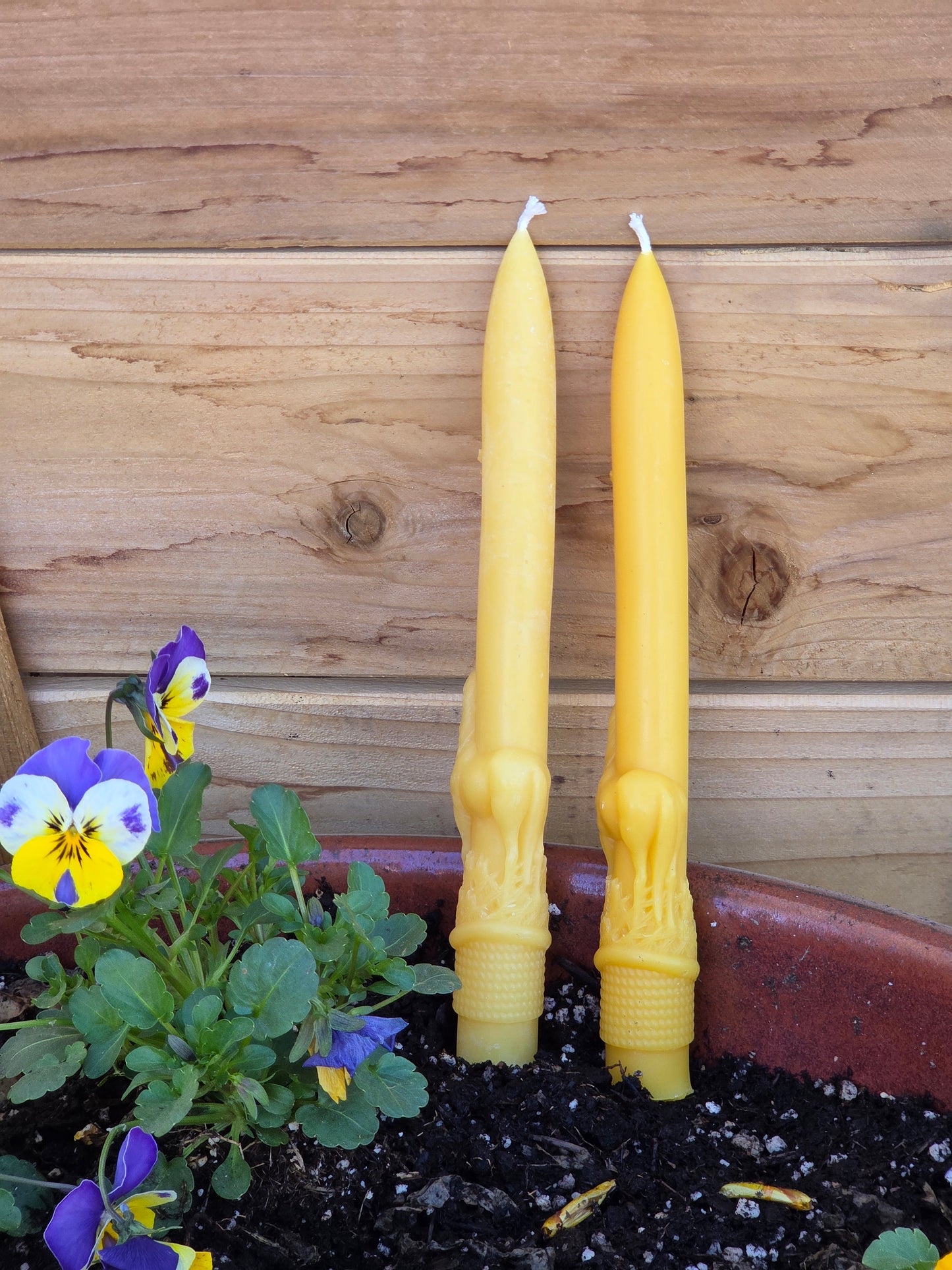 Stallion in the Sunset Tapers - Set of 2 | Beeswax Candles