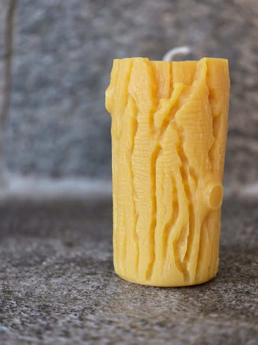 Campfire Log Pillar | Beeswax Candle