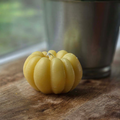 Sugar Pie Pumpkin | Beeswax Candle