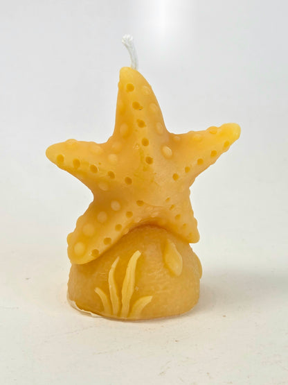 Sea Star | Beeswax Starfish Candle